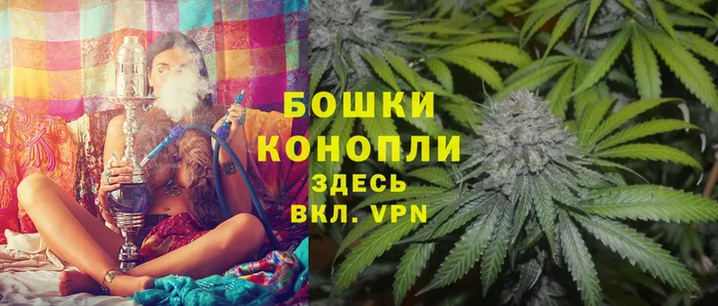 Бошки Шишки OG Kush  гидра ТОР  Слободской 